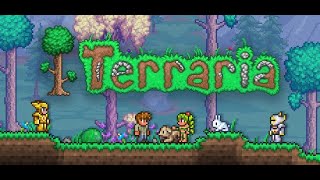 Terraria VN 2 wLOCLAG [upl. by Mikael644]