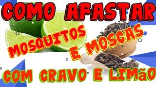 Como AFASTAR mosquitos e moscas com LIMÃO E CRAVO DA ÍNDIA🤩 [upl. by Eiramana]