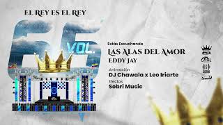 Las Alas del Amor  Eddy Jay Ft Rey de Rocha Vol 66 [upl. by Oirramaj81]