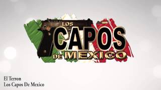 Los Capos De Mexico  El Terron [upl. by Roydd]