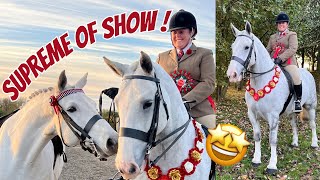 SUPREME OF SHOW COME SHOWING WITH US COB amp RIDING HORSE WINNERS  SHOW VLOG [upl. by Kcirtapnhoj]