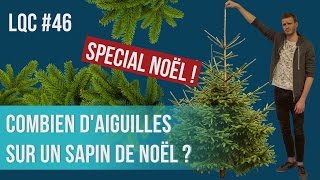 Combien daiguilles sur un sapin de Noël  LQC 46 [upl. by Esorlatsyrc92]