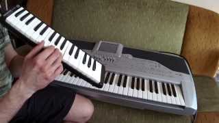 Imagine John lennon piano melodica cover [upl. by Llennahs]