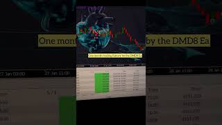 One month trading history with the DMD8 forex forextradingstrategies forextradingin2024 [upl. by Lodnar576]