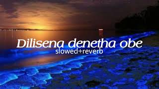 Dilisena denetha obe slowedreverb [upl. by Seyah]