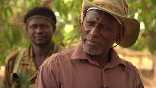 BBC News  Casamance rebels threaten return to war over Senegal mine project [upl. by Dur]