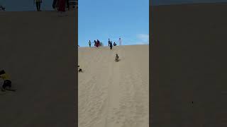 Sandboarding and sand sledding [upl. by Dougall]