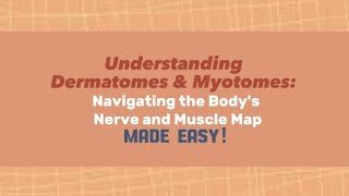 DERMATOMES and demonstration of MYOTOMESMADE EASY [upl. by Kapeed322]