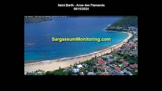 2024 Sargassum Monitoring® Official  Saint Barthelemy [upl. by Aaberg]