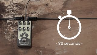 90 Seconds With EarthQuaker Devices Afterneath [upl. by Blakely445]