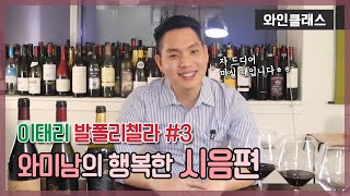 와미남 와인 클래스 발폴리첼라 와인 Part 3 발폴리첼라 레드와인 시음편 아마로네 리빠쏘 발폴리첼라 Valpolicella [upl. by Seitz]