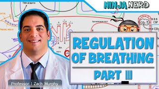 Respiratory  Regulation of Breathing Factors Influencing Rate and Depth Part 3 [upl. by Salvidor]