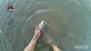 PANGHUHULI NG ISDA SA ILOG GAMIT ANG LAMBAT fishingvideo catchingfish fresh [upl. by Karilla]