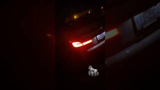 2022 BMW M550i Catless downpipes Cold Start Drive by cartok catless downpipesbmw No Revs [upl. by Elora998]