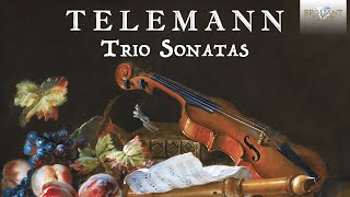 Telemann Trio Sonatas [upl. by Serg]