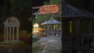 Taebaek park botanicalgarden botanicalgarden baguiocity philippines christmasdecor christmas [upl. by Cunningham]