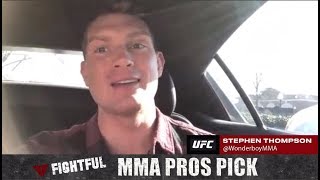 MMA Pros Pick  Stipe Miocic vs Francis NGannou UFC 220  Boston [upl. by Ecnav833]