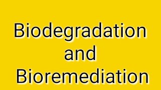 Biodegradation and bioremediation [upl. by Tnomed]