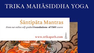 Śāntipāta Mantras  From Foundations of TMY [upl. by Myrt]