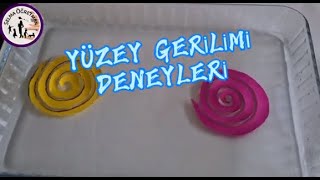 OKUL ÖNCESİNDE YÜZEY GERİLİMİNİ ANLATMA  DENEYLERLE YÜZEY GERİLİMİ [upl. by Asirak635]