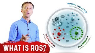 What Are Reactive Oxygen Species ROS  Dr Berg [upl. by Issak708]