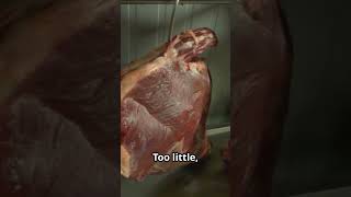 The 1 Mistake That Ruins Preserved Meat [upl. by Reiniar]