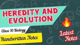 Heredity and Evolution Class 10 Biology Chapter 4 Handwritten Notes  Class 10 Biology Notes [upl. by Hardunn]