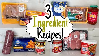 3 INGREDIENT DINNERS  5 Cheap amp Easy Meals You Only Need 3 Ingredients to Make  Julia Pacheco [upl. by Annahsed]