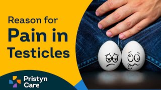 Reason for pain in Testicles [upl. by Alyce]