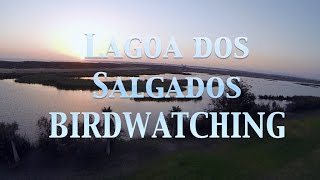 Lagoa dos Salgados Birdwatching [upl. by Ahsikit]