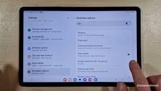 Samsung Galaxy Tab S8 How to enable the Developer Options for USB Debugging etc [upl. by Atnahs]