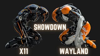 Showdown 2024 X11 vs Wayland [upl. by Zug]