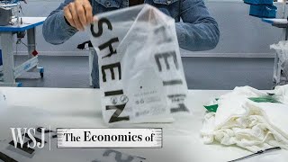 How Shein Built a 66B FastFashion Empire  WSJ The Economics Of [upl. by Petrie]