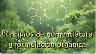 Nomenclatura y formulación orgánica [upl. by Fitting]