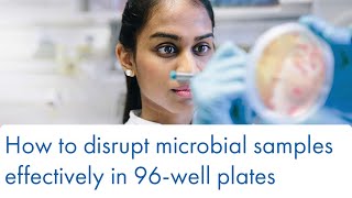 How to disrupt microbial samples effectively in 96well plates [upl. by Amiaj]