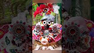 Bada daulare chakiri odia jagannath bhajan [upl. by Willmert]