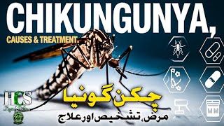 Chikungunya Causes amp Treatment 💊🦟 [upl. by Acira]