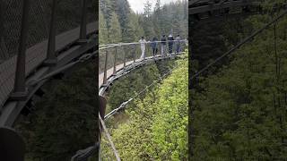 Capilano Suspension Bridge 🇨🇦 Vancouver [upl. by Enahc]