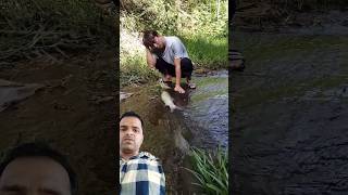 Fish trap mrbeast big fish bass fishing productions river cane technology prim catfish [upl. by Anawaj]