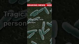 The E coli Strain Linked to McDonalds Quarter Pounders What You Need to Know breakingnews news [upl. by Agustin]