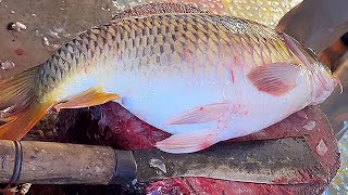 Amazing Cutting Skills  Big Carp Fish Cutting By Expert Fish Cutter [upl. by Odericus]