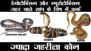 सबसे जहरीला सांप कौन  Hemotoxic Venom VS Neurotoxic Venom  Types of Snake Venom amp effect on Humans [upl. by Atrebla]