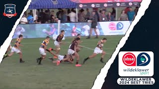 The Best Tries From Wildeklawer Rugby 2024  School Rugby 🏉🇿🇦  ABSA Wildeklawer 2024 [upl. by Doug]