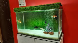 Goldfish Kingdom Aquarium Setup  Oranda and Ranchu Goldfish tank with Green Grass Background [upl. by Nevaeh]