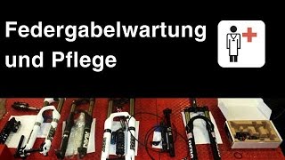 Reinigung und Pflegetips für Gabel und Dämpfer [upl. by Losyram]