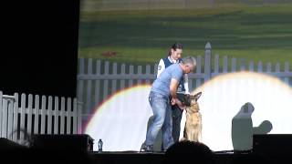 cesar millan live in ahoy quotgerman sheppardquot [upl. by Oznol]