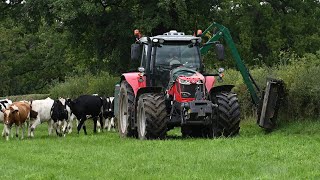 Hedge Cutting with Massey Ferguson amp Spearhead Trimmer  Hedge Cutting 2023 [upl. by Eiddet885]