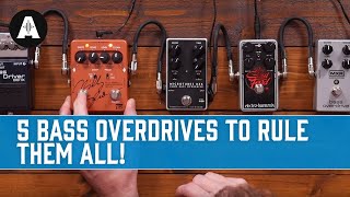 5 Bass Overdrives to Rule Them All [upl. by Guthry]