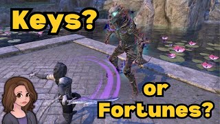 Which Currency Do You Prefer November 19 Vendor Review ESO [upl. by Sandry296]