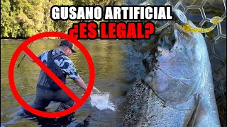 La REVELIÓN de la PESCA de TRUCHAS  Piques al ¡¡POR MAYOR [upl. by Ainnet]